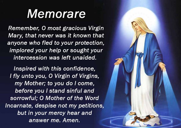 Day 23 of May devoted to our Blessed Mother 🩵