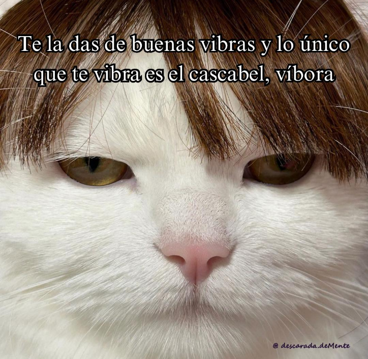 osamente's tweet photo. Que se ponga el poncho al que le quede ... Mas con este frío no?🙂 Siiiiii es para voos https://t.co/yb2VpZTqmj
