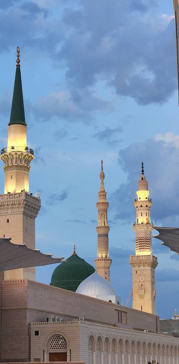 امل الحربي tweet media