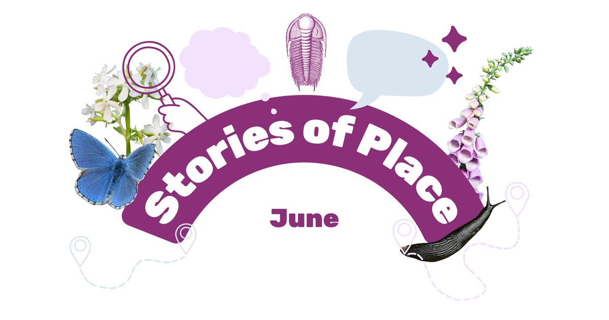 Dudley Creates tweet media