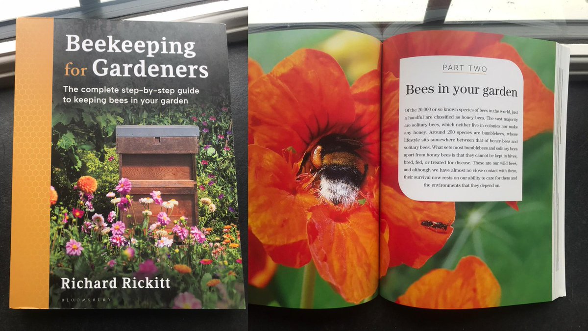 Happy publication day to our very own co-editor, Richard Rickitt. 

‘Beekeeping for Gardeners’ is available now and, from what we have seen so far, its stunning photography and practical insights make it impossible to put down.

Congratulations Richard! 🐝

#bees #beekeeping
