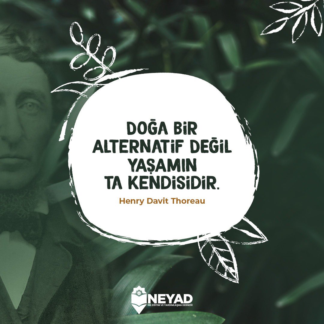 NeyadVakfi's tweet photo. Geçmişimiz, bugünümüz ve geleceğimiz doğanın ellerinde.🌳
#neyad https://t.co/CFeTBd4qlu
