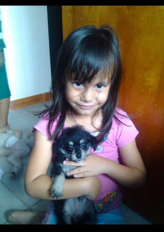 im_cathee's tweet photo. Te voy amar hasta morir❤️‍🩹 https://t.co/e3WhIcXZbZ