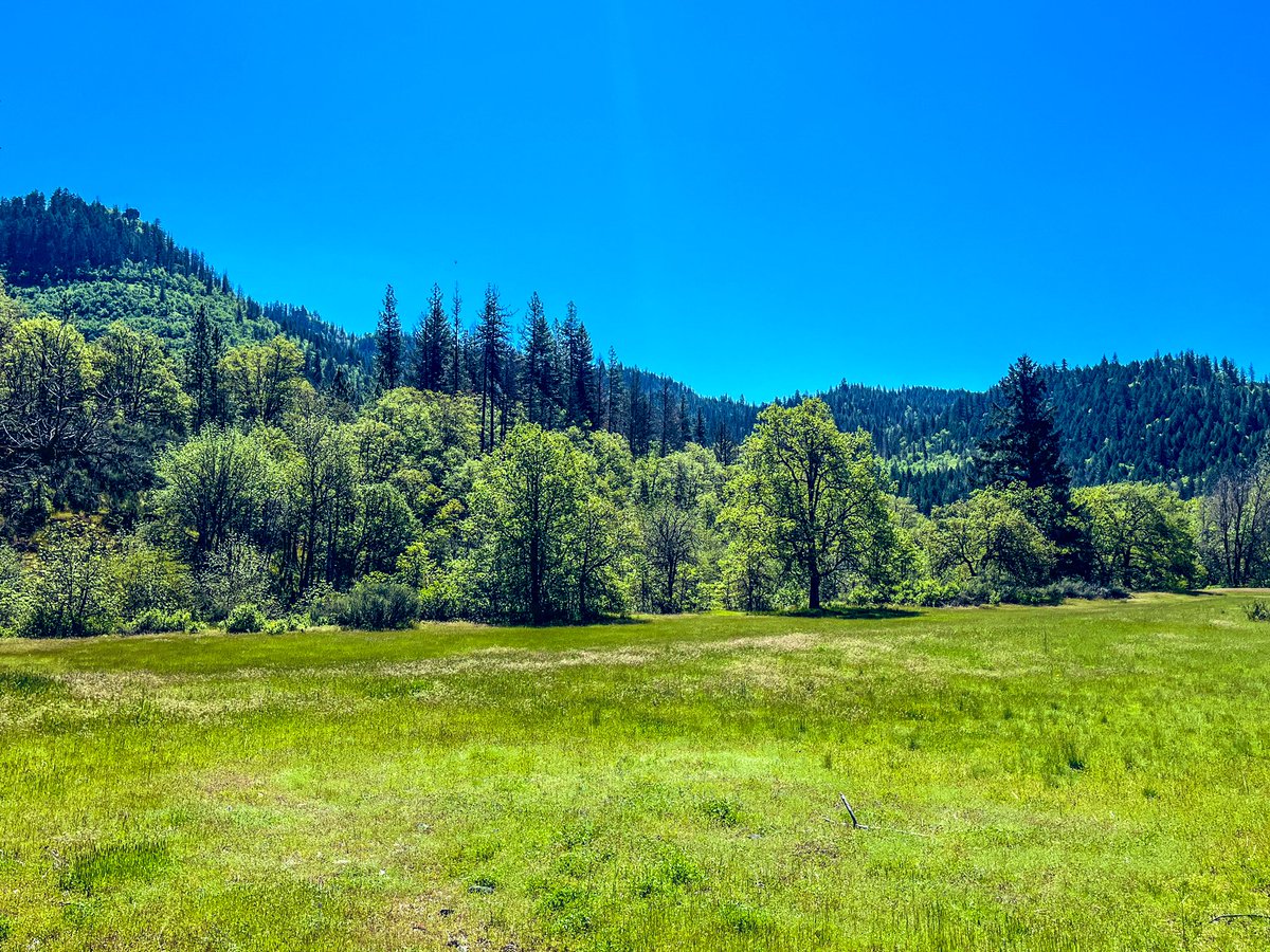 cerulean skies
watch me surrender my heart
to an unsuspecting stranger 

#vssnature #Cerulean #poetry #WritingCommunity #3lines #micropoetry