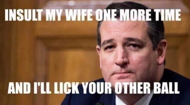 SueSrod8128's tweet photo. @5centmichael @BrunoAmato_1 @tedcruz #RaphaelCruz #TraitorsForTrump #Biden2024 #SaveDemocracy #ProtectWomenAndGirls #TrumpHushMoneyTrial #IndictAllSeditiousnistsSittingInCongress https://t.co/22pLyeYPst