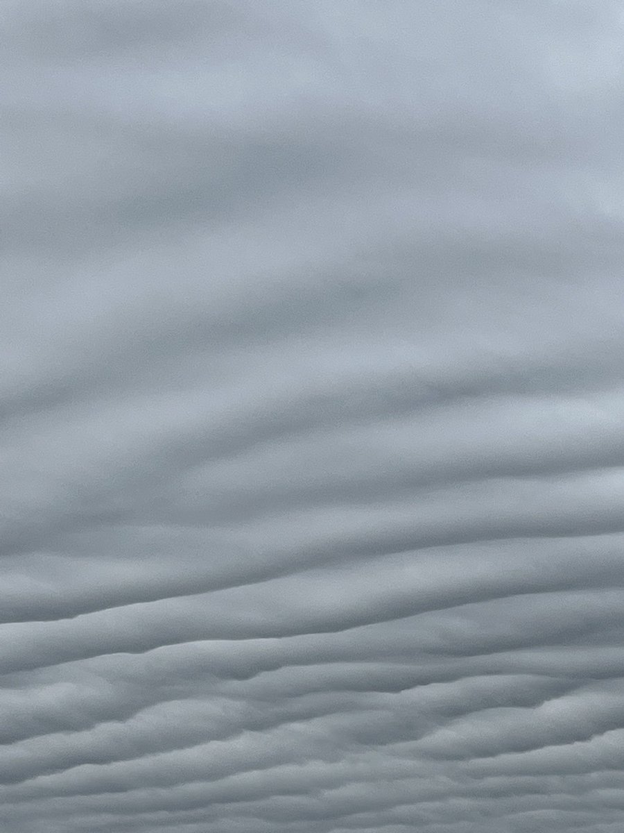 nbihoo's tweet photo. @SeanAshWX what kind of clouds are these and what causes them? As seen in Zionsville this morning. https://t.co/ICKWXYUde0