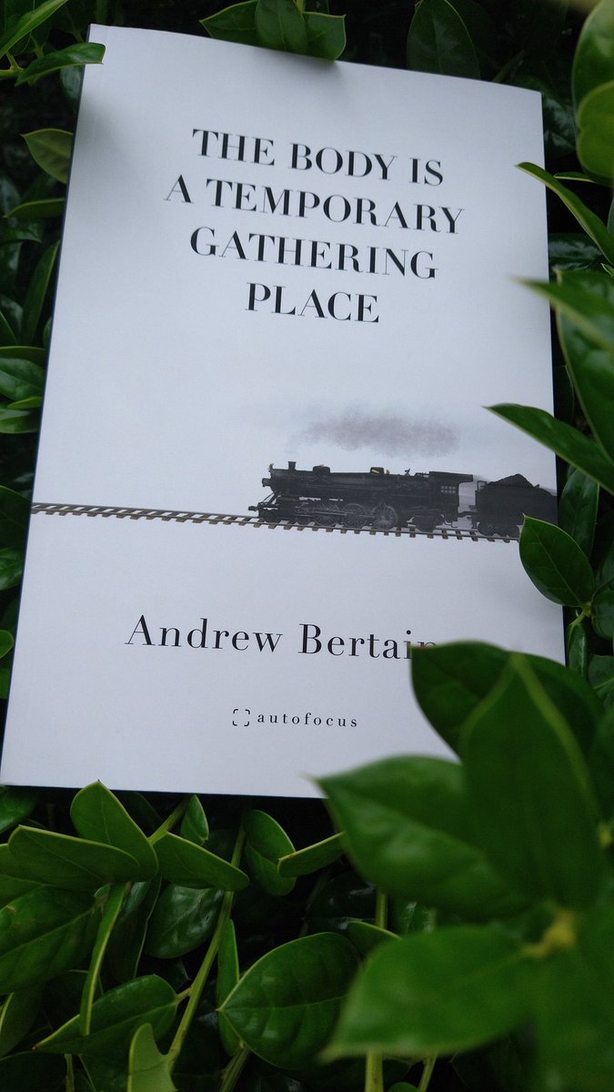 It's here! Looking forward to @andrewbertaina's new book from @autofocuslit!