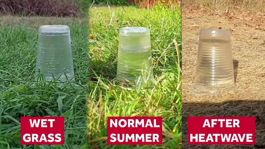 With nothing more than three cups of water, a UK scientist has clearly illustrated how drought conditions can heighten the risk of flash flooding once rain does start to fall. Simple geography 
#geographyteacher #geography