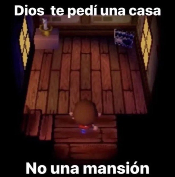 Canelita (@canela_chair) on Twitter photo 
