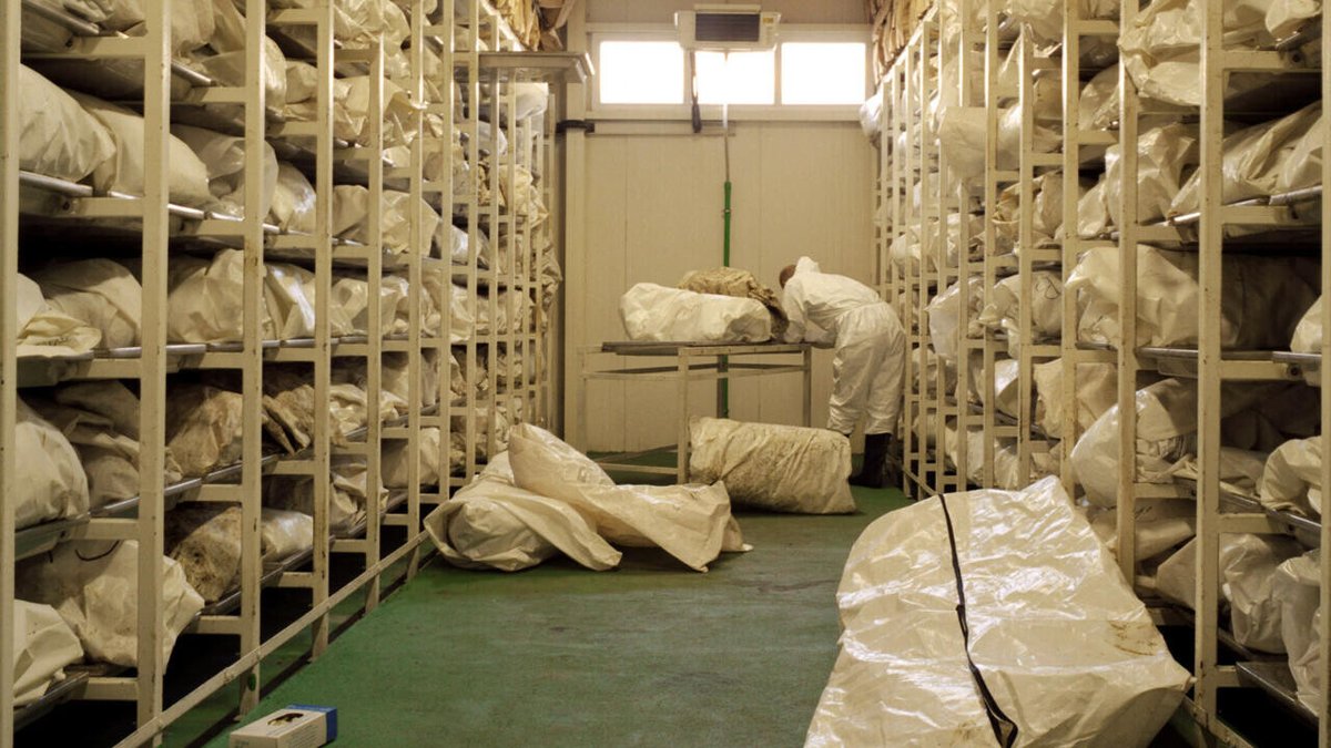 France24_fr's tweet photo. L'ONU crée une Journée de commémoration du génocide de Srebrenica, malgré l'opposition de la Serbie
➡️ https://t.co/xs7c1OHBMD https://t.co/VURcCMFje5
