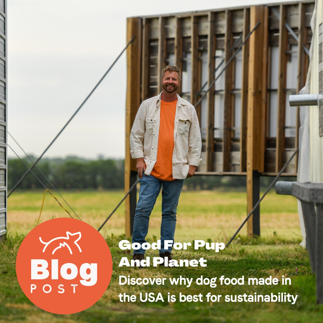 CanidaePetFood's tweet photo. 🌱 As we approach Memorial Day and the start of summer, let's celebrate sustainability with Canidae Pet Food! 🌞🐾 

#SustainablePaws #MemorialDay #CanidaeCares #Canidae #CanidaePetFood #PetFoodMadeInTheUSA #MadeinTexas #Sustainability #RegenerativeAgriculture https://t.co/Saxqv0BWzW
