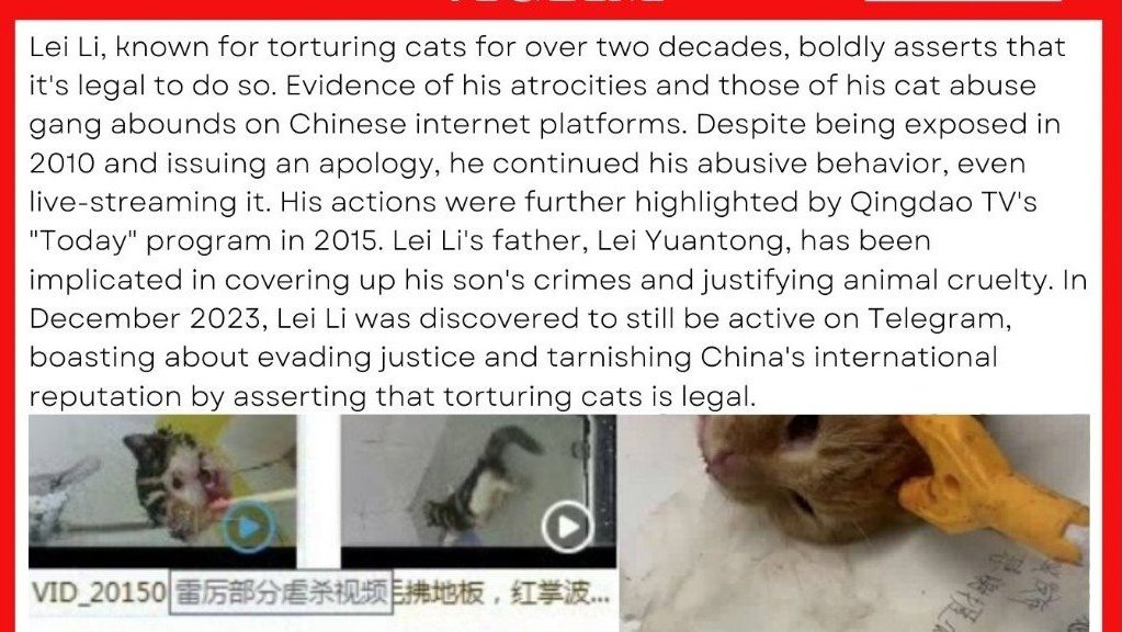 PhaedraXTeddy's tweet photo. Makes no sense that #Xi and you @MFA_China won't stop #LeiLi the catfucker that tortures cats on Telegram. #Leili boasted that he is tarnishing #China's🇨🇳 international reputation and keeps repeating that #AnimalCruelty is legal so he has to do it! https://t.co/0tLLOSd2Vv