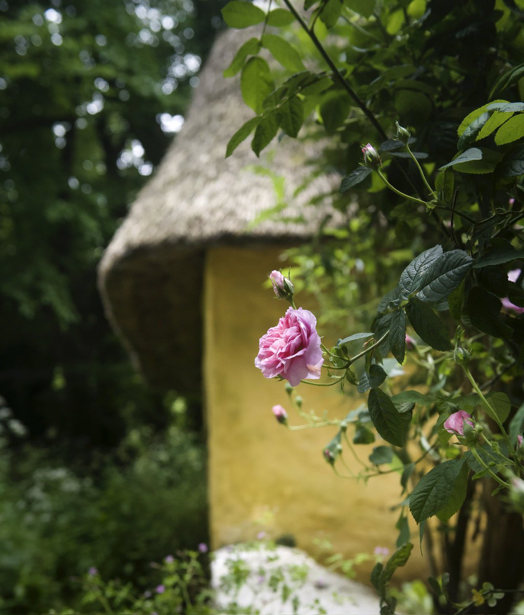 Bunratty Castle and grounds is something else. 🏰🌷@BunrattyCastle