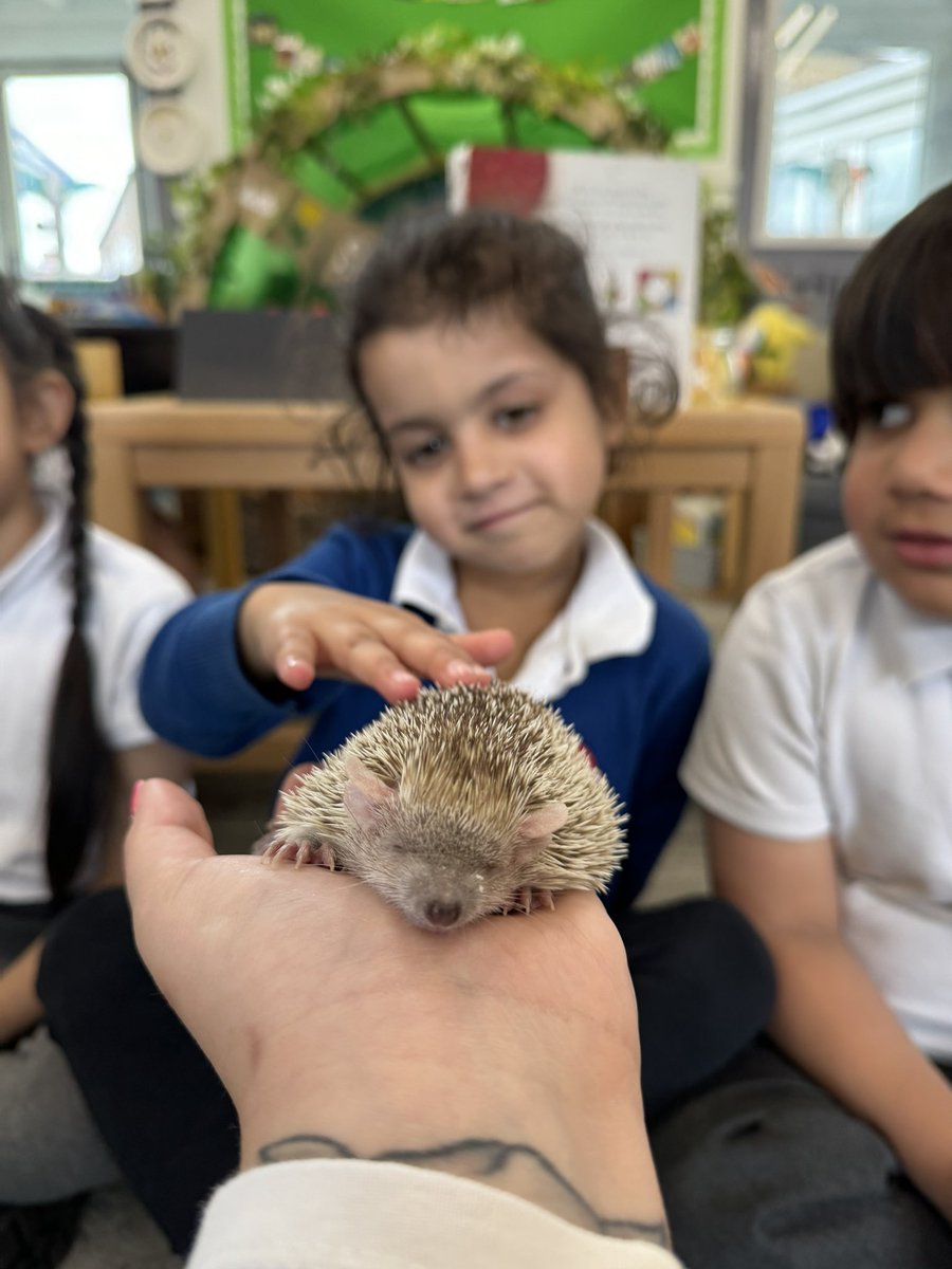 MissThomas124's tweet image. A HUGE thank you to Chris #TheAnimalMan the children were amazed by the animals they saw this afternoon! The children of #RFH were super brave!