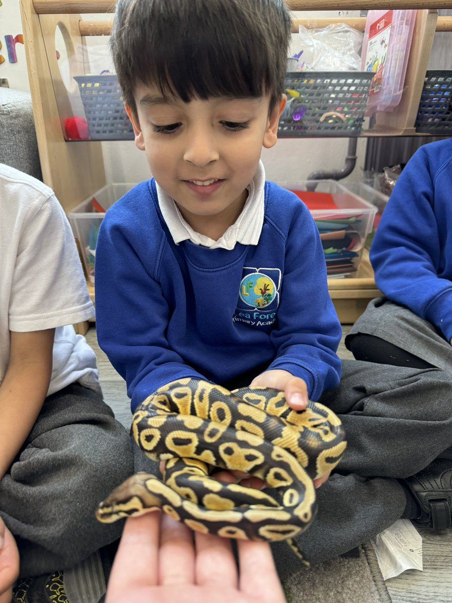MissThomas124's tweet image. A HUGE thank you to Chris #TheAnimalMan the children were amazed by the animals they saw this afternoon! The children of #RFH were super brave!