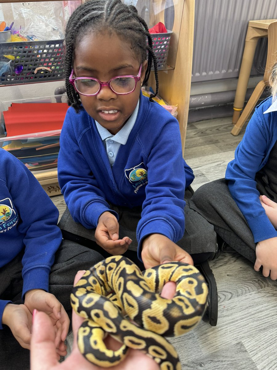 MissThomas124's tweet image. A HUGE thank you to Chris #TheAnimalMan the children were amazed by the animals they saw this afternoon! The children of #RFH were super brave!