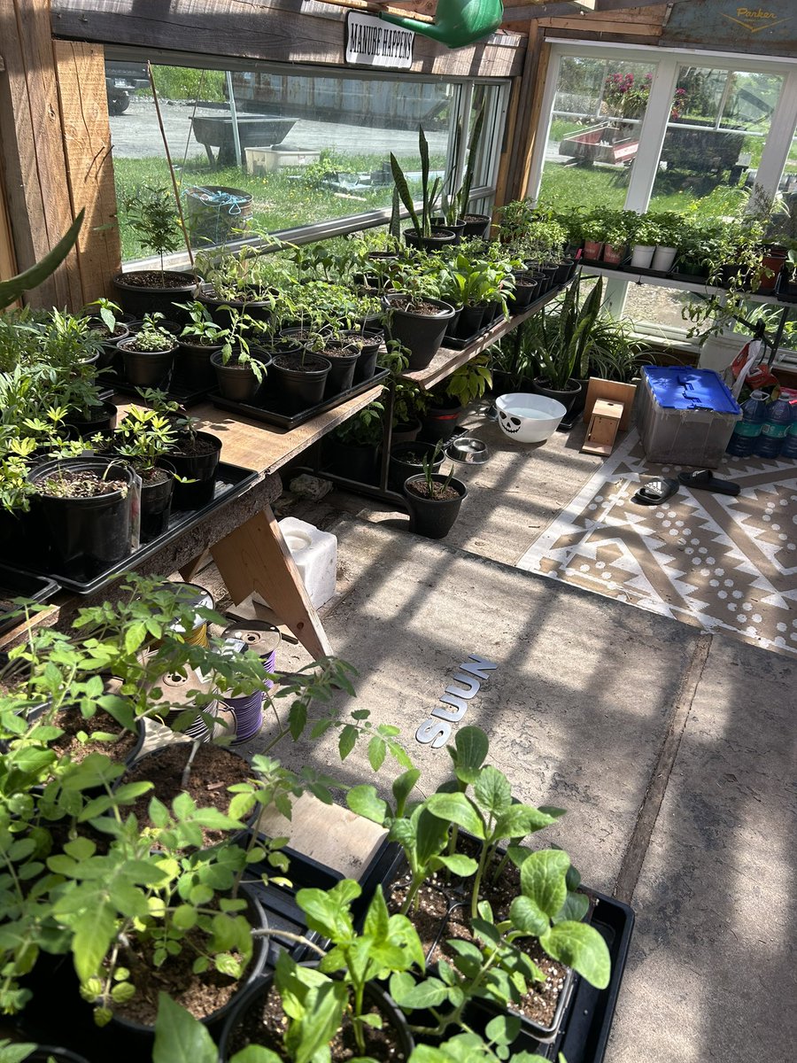 NicolasBoulay's tweet photo. Can you see the #Suun ! @luncfood #Lunc #ustc #meme #prodroom #gardenready https://t.co/7h5TLxuNEi