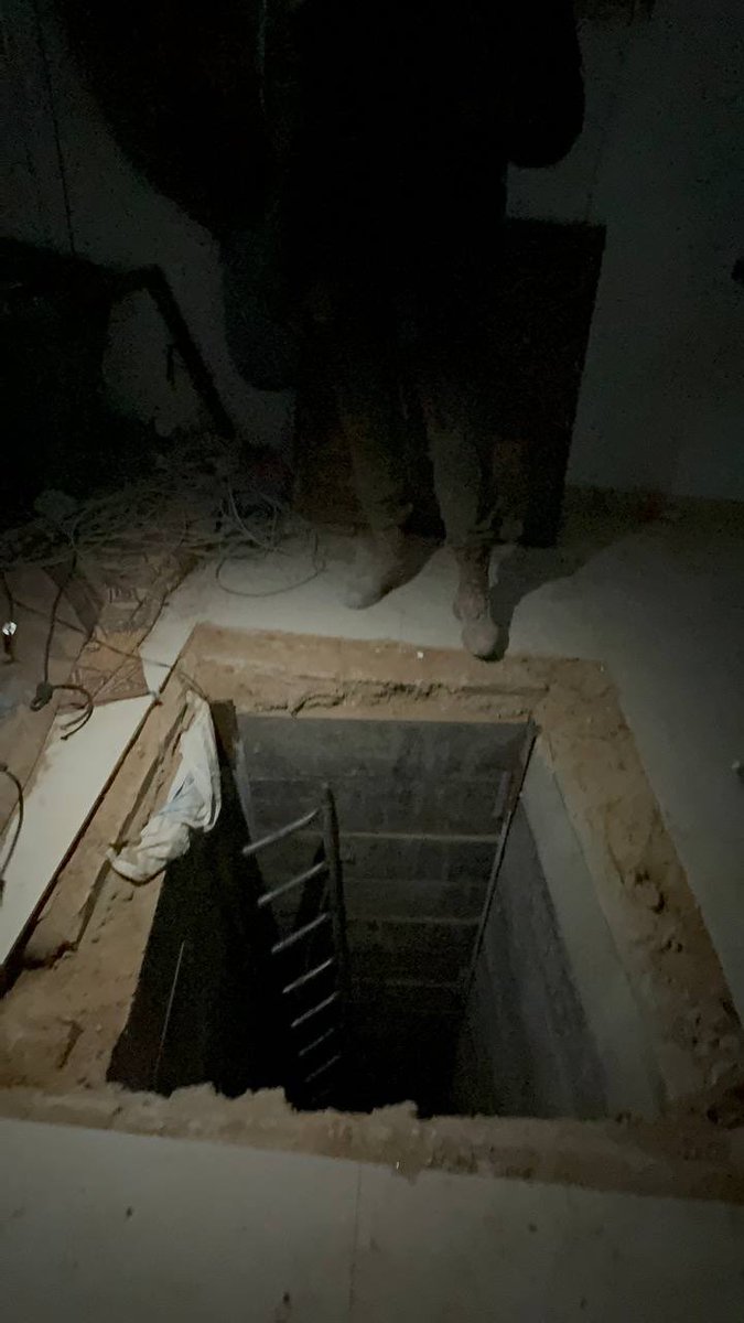 Marina Medvin 🇺🇸 tweet media