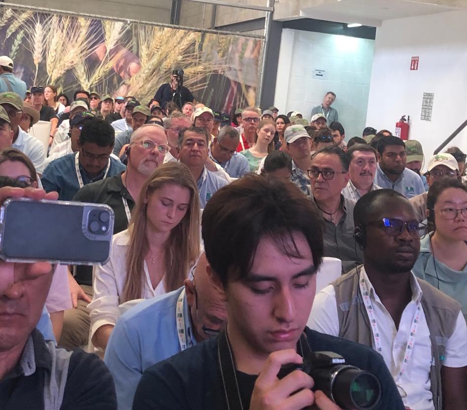 IICA México tweet media