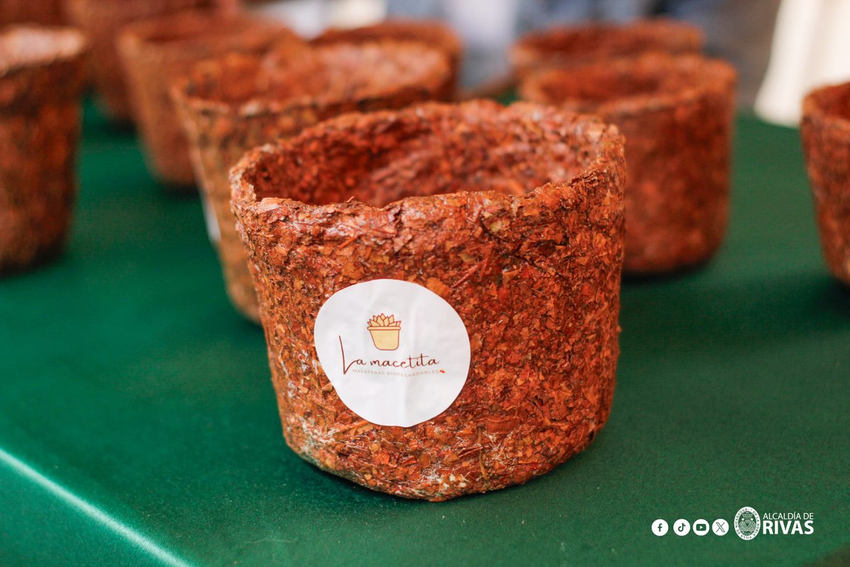 AlcRivas29's tweet photo. Finaliza la Semana de la Innovación Agropecuaria qué el SNPCC en conjunto a la Alcaldía de Rivas, llevo a los estudiantes y productores, con el objetivo de capacitar y conocer las nuevas tecnologías en el ámbito agropecuario. #GobiernosLocalesNi https://t.co/g6TcKrHRVD