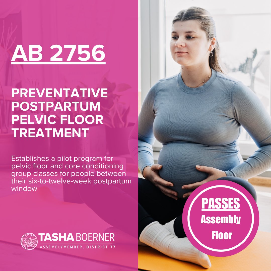 For far too long, conversations surrounding childbearing and postpartum have been considered taboo. We have programs to support parents before they give birth, and we should have programs to support them postpartum. #AB2756 is headed to the Senate 🎉
