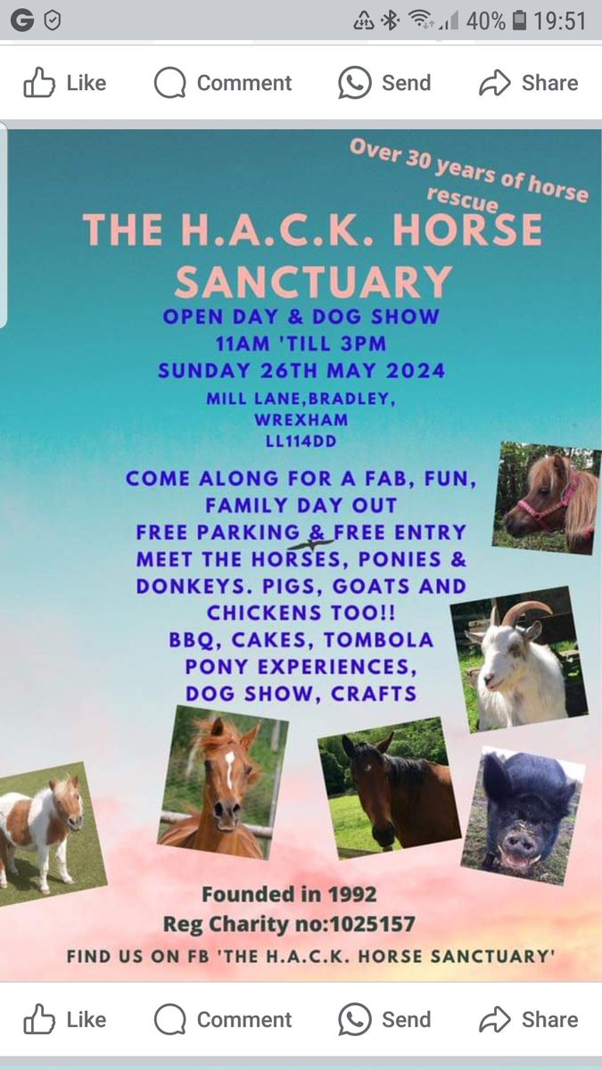 Alison Stubbs tweet media