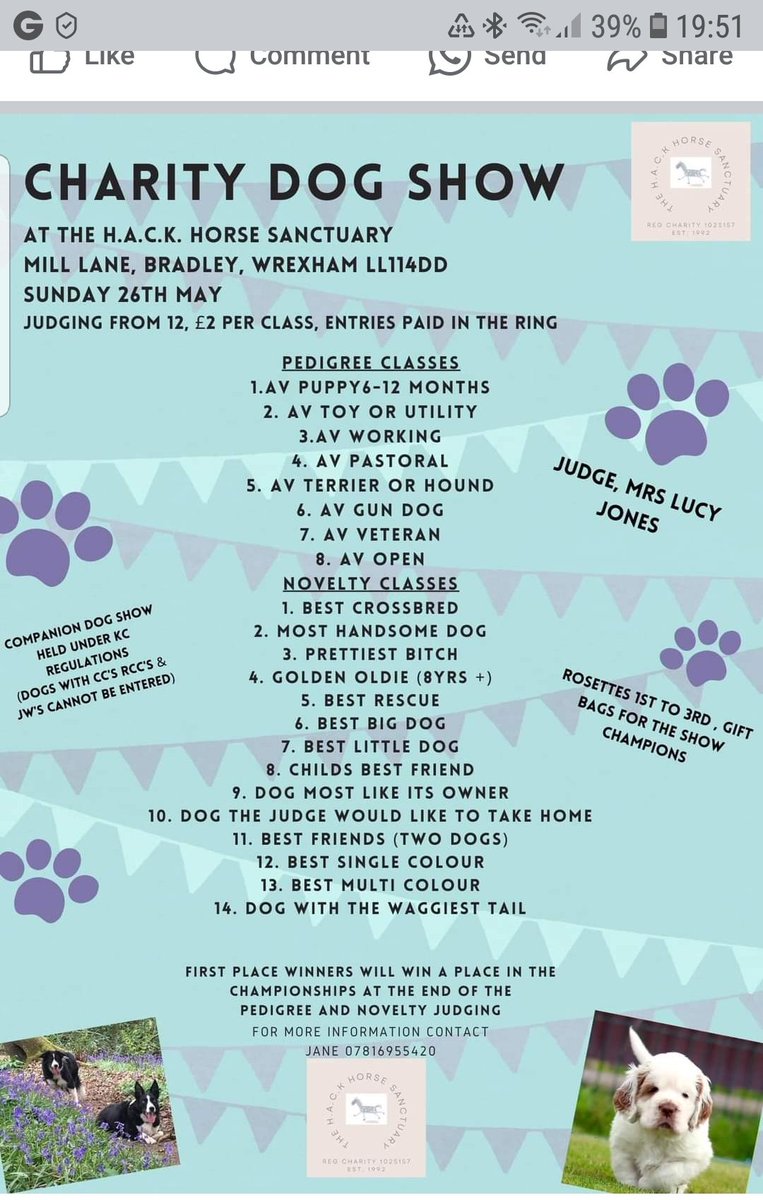 Alison Stubbs tweet media