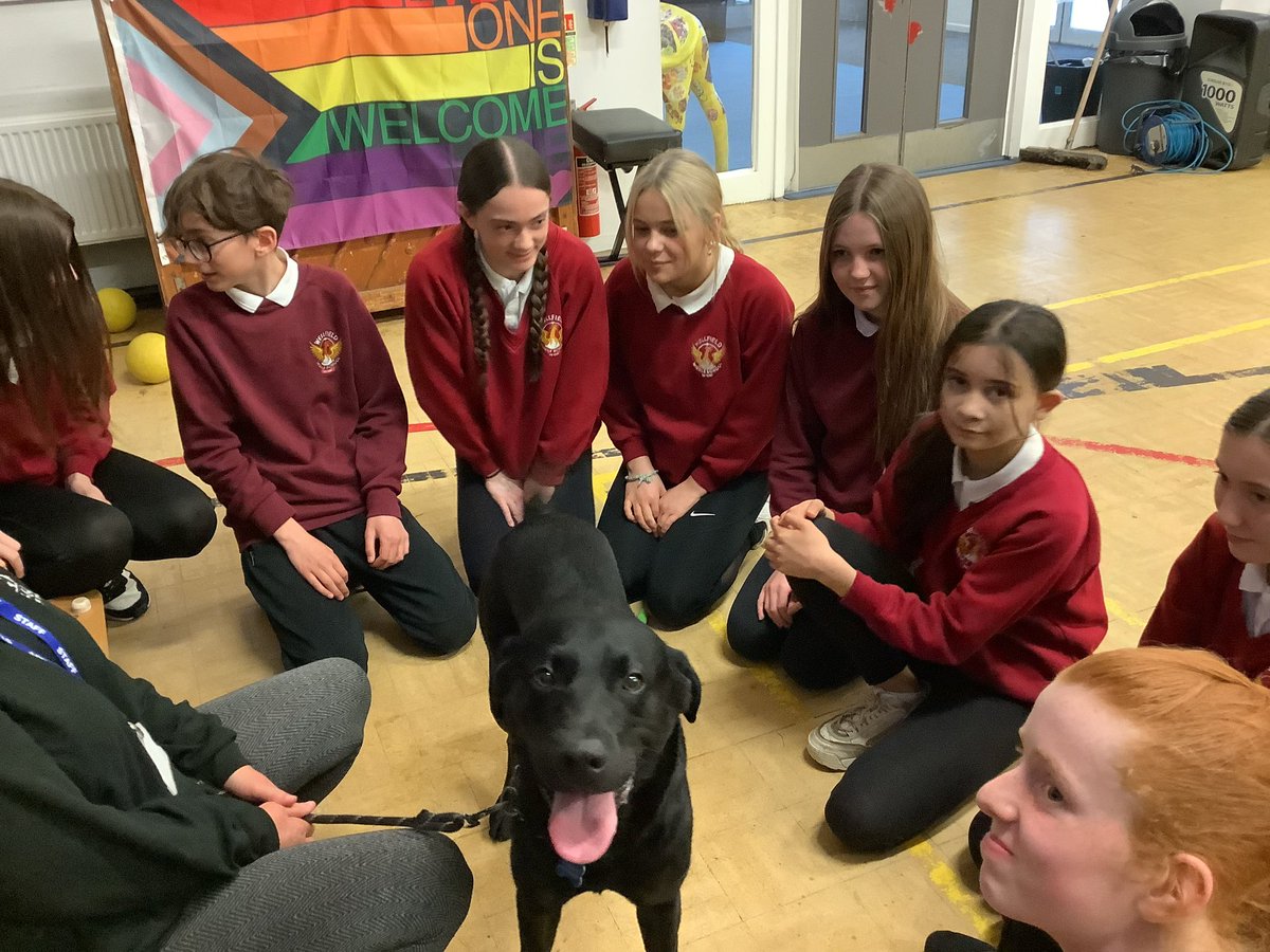 WellfieldMiddle's tweet photo. Wellbeing is at the heart of everything at Wellfield; we know that success in life means knowing how to look after your mental health and find ways to relax and have fun. Here is just a TINY peak at our annual Wellbeing Week so far #WMSWellbeing more to follow! 🌟 https://t.co/fmgGwBUghk