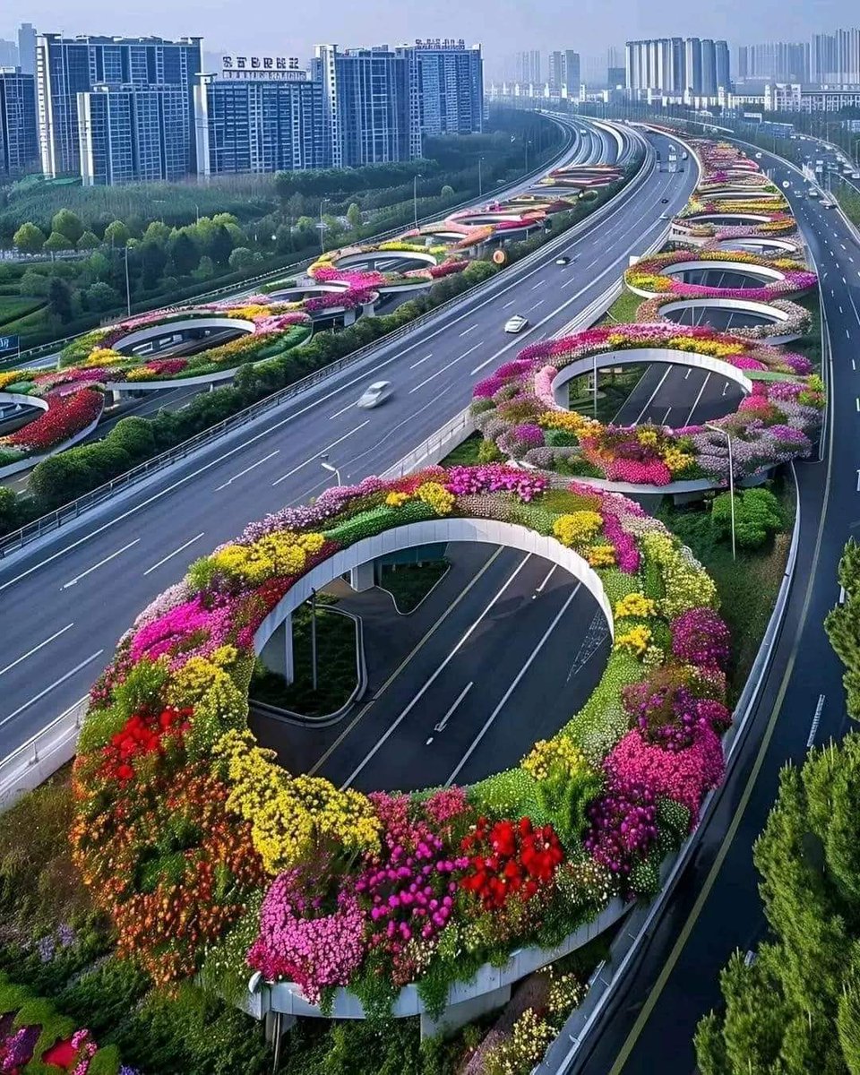Esto hermosos jardines de flores estan en una carretera elevada con túneles en la ciudad de Hangzhou, China. Una gran obra moderna. Fotos por: @Naturesms