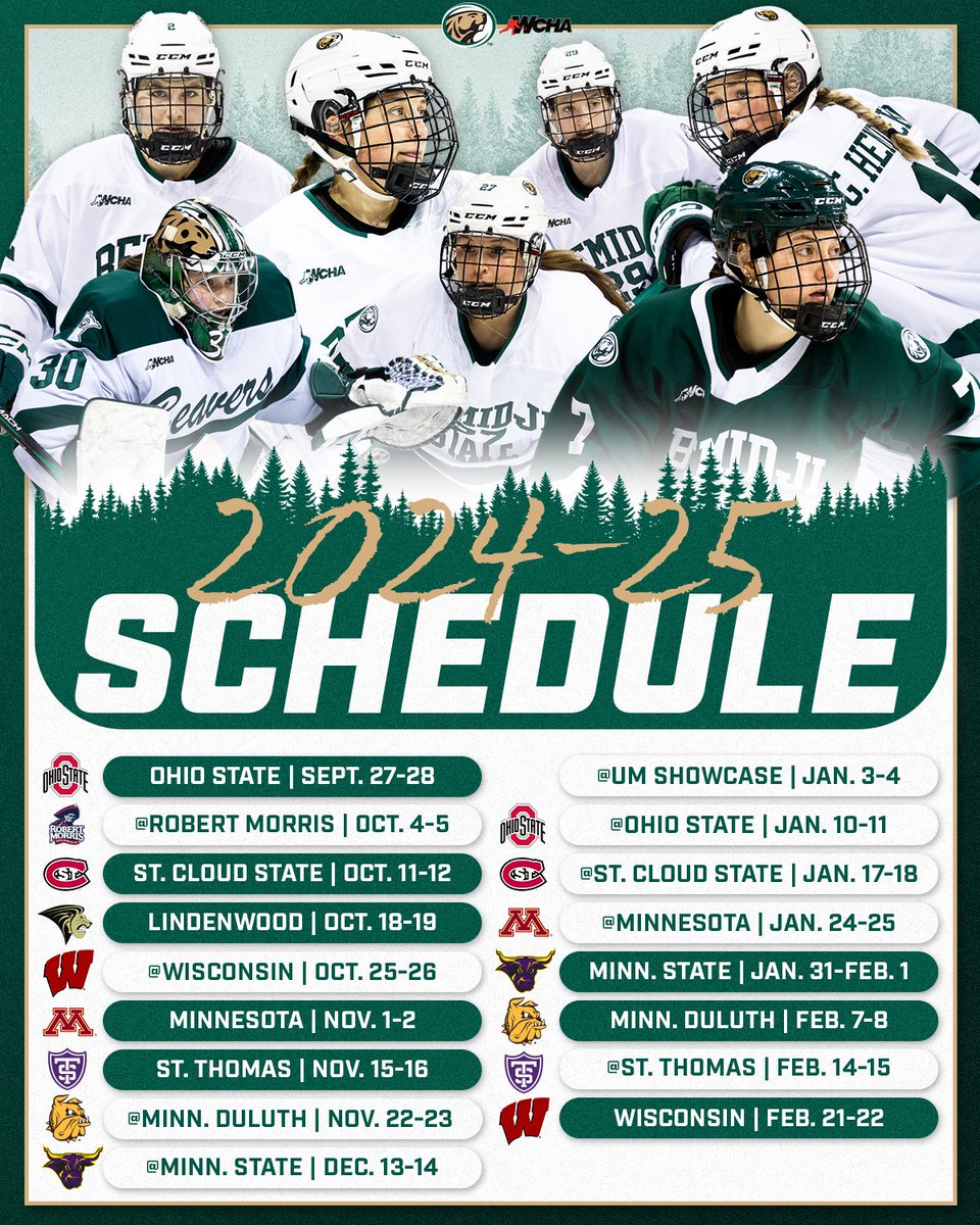 Bemidji State Women’s Hockey tweet media