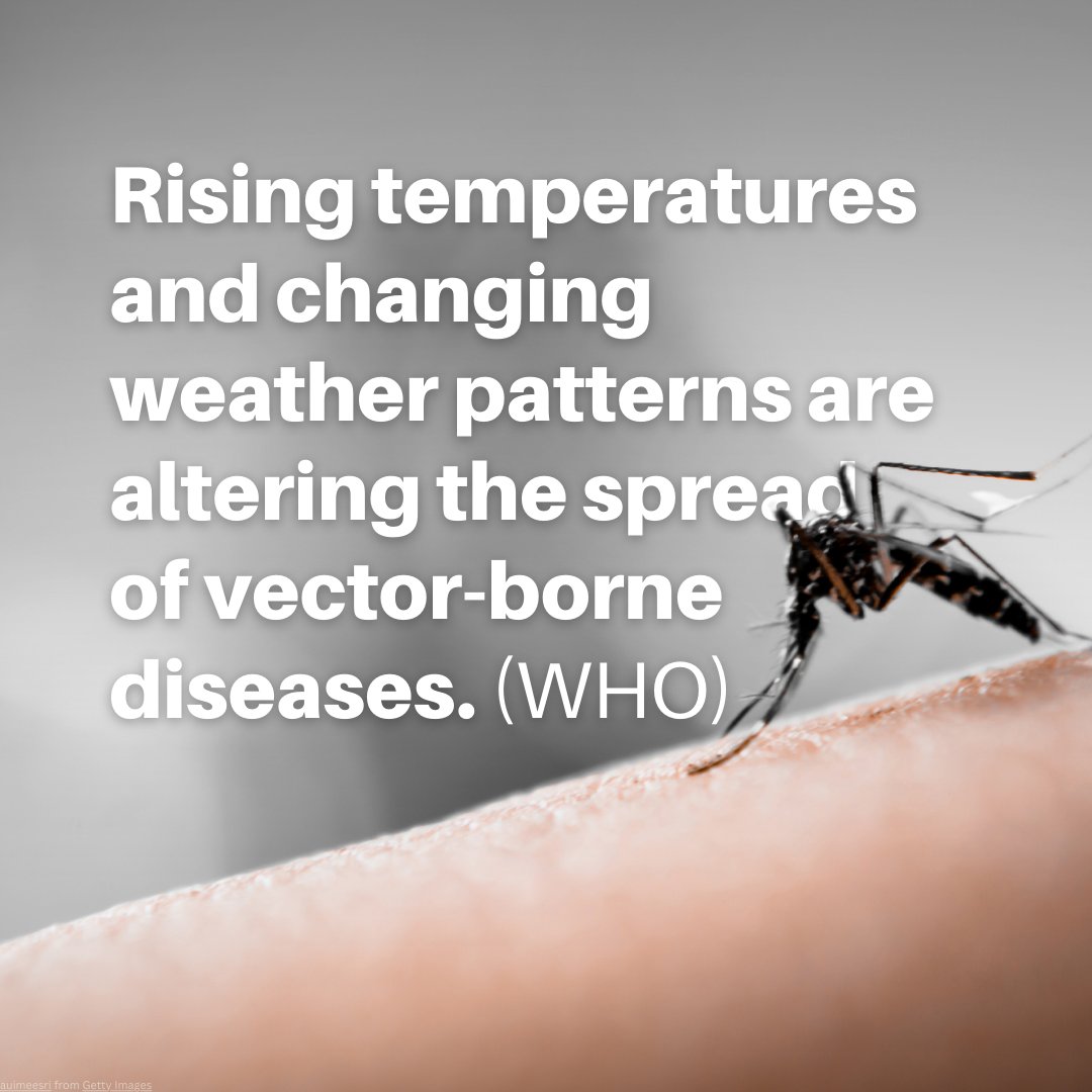Due to the climate crisis, <a href="/WHO/">World Health Organization (WHO)</a> says that shifts in prevalence, incidence, range &amp; intensity of malaria + other neglected tropical diseases may be felt hardest in those communities already disproportionately impacted. who.int/news/item/22-0…