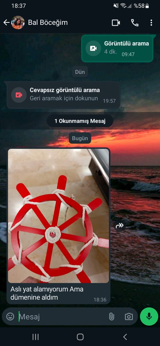 Asli_polatt's tweet photo. Annem eksik parçaları tamamlıyor sağolsun https://t.co/Bvt0ftnSyT
