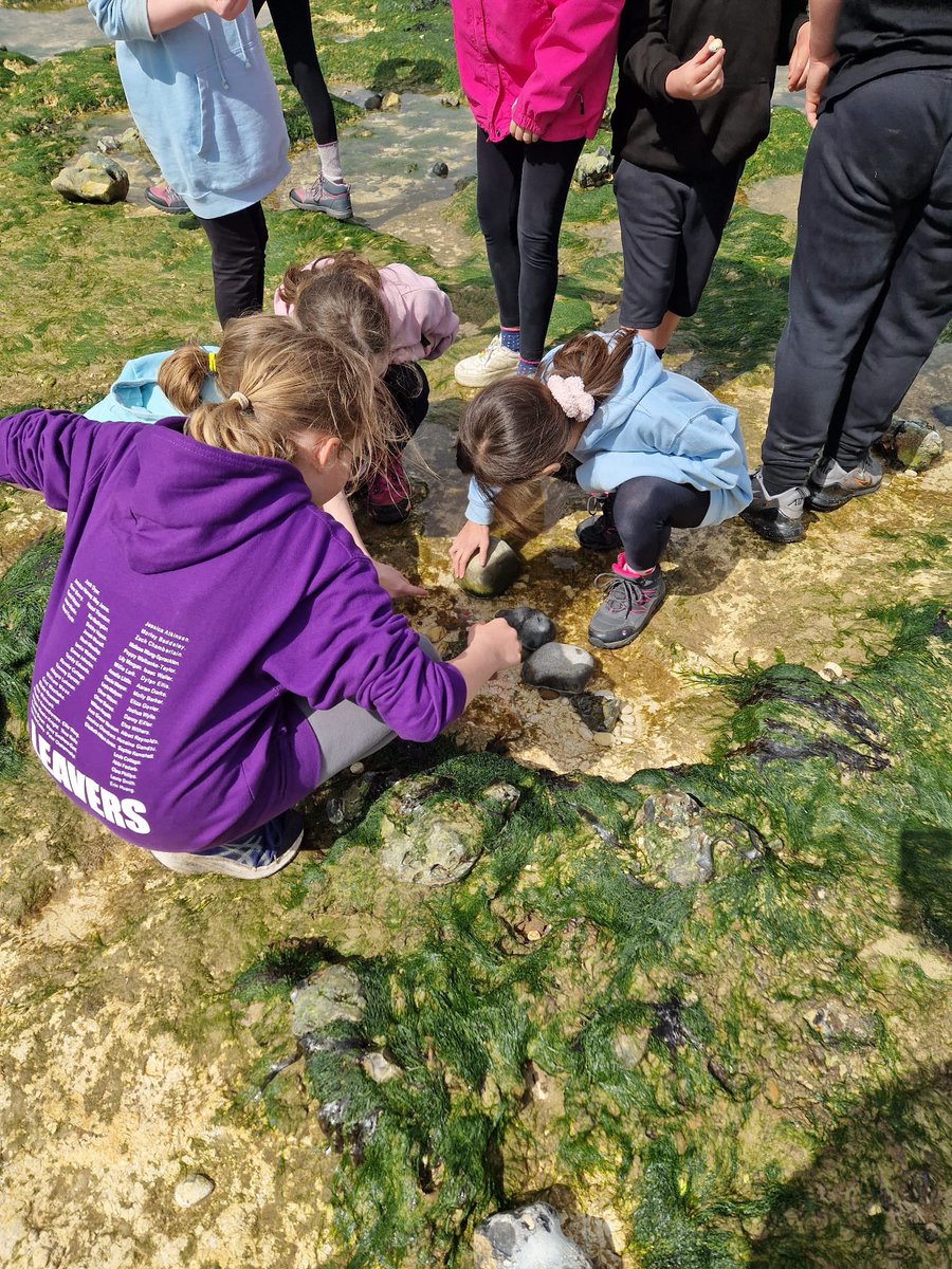 Linton Heights tweet media