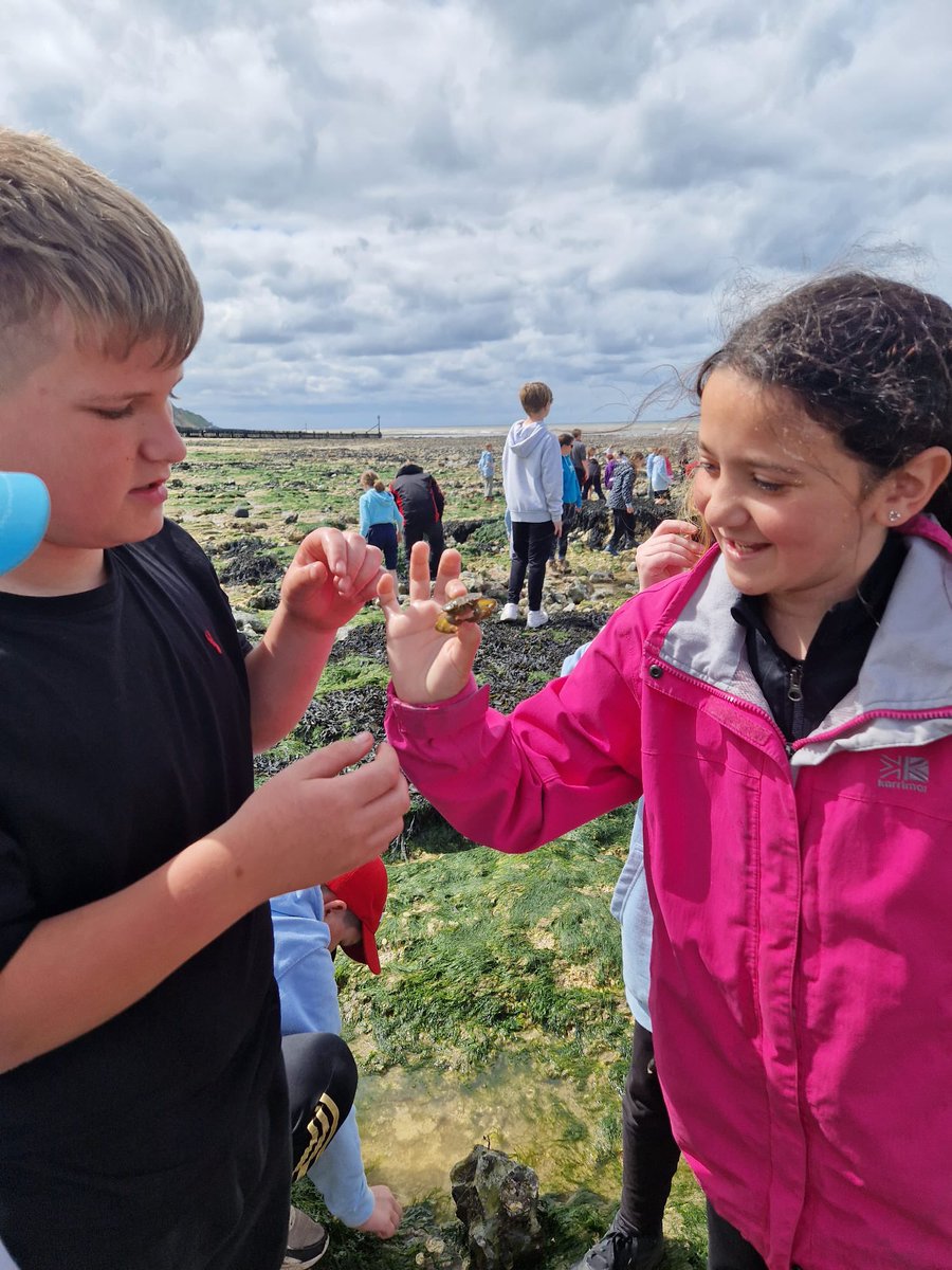 Linton Heights tweet media