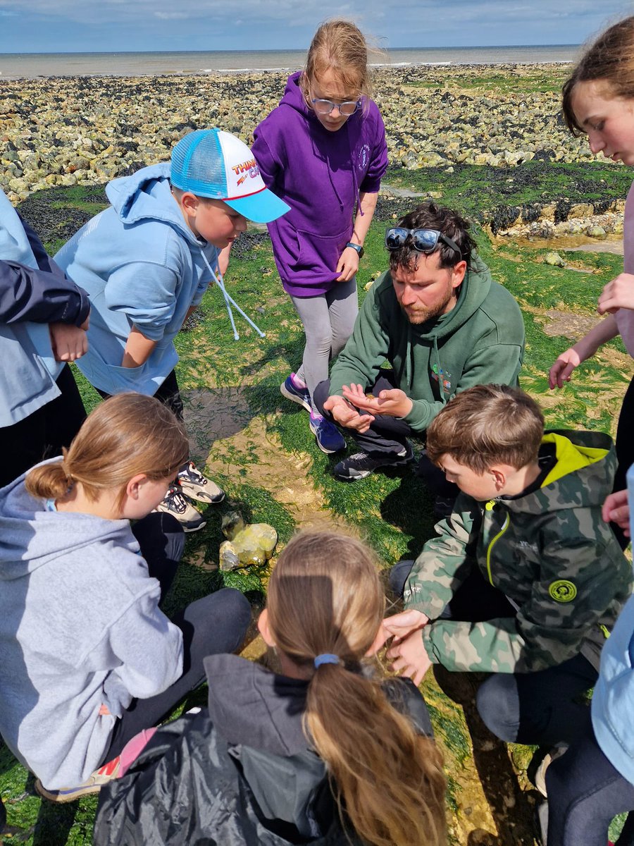 Linton Heights tweet media