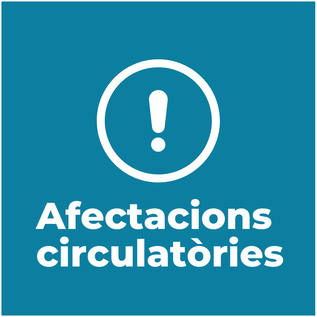 ⚠️🚗 Demà, 24 de maig, de les 9.15 h a les 15 h, tall de la circulació de vehicles al carrer del Carme, entre el pont de l'Areny i la pujada de les Pedreres per la poda dels arbres. La circulació de vehicles es desviarà cap al pont de l'Areny. Consulta totes les incidències