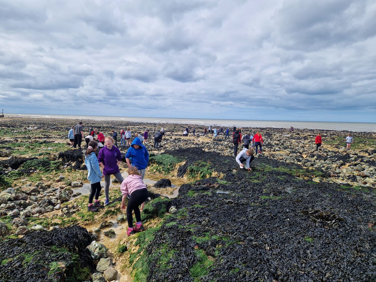 Linton Heights tweet media