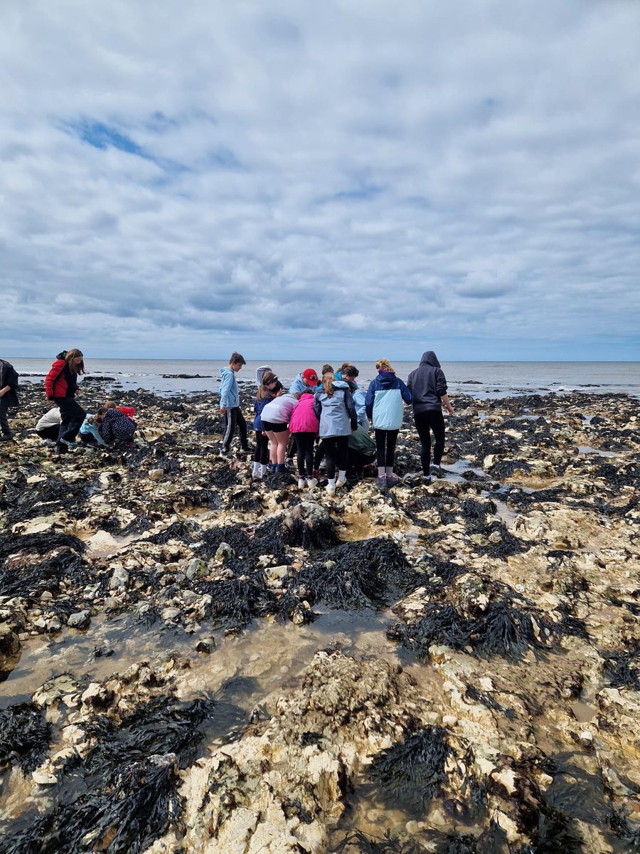 Linton Heights tweet media