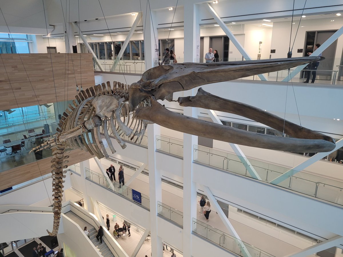 Cheyenne Hardy tweet media