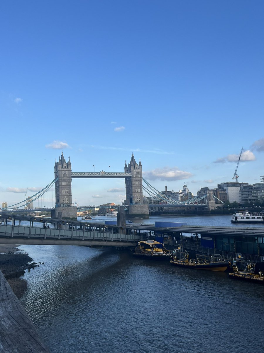 ch_baum's tweet photo. That’s a wrap for #nanoporeconf ! These were 2 days of innovating science, updates and great connections. A pleasure as always!
Thanks London Calling @nanopore https://t.co/glV98vggLW
