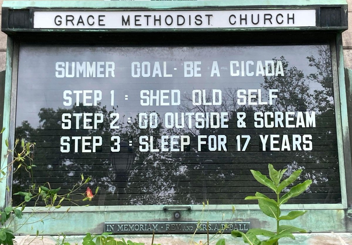 #SummerGoals