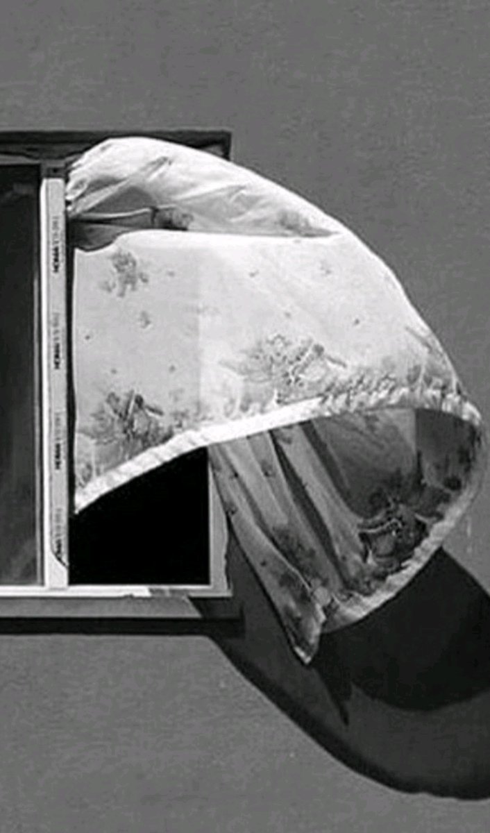 بداخلنا هزيمة وضع عام سببها  الظلم والخذلان وخيبات الأمل وازدواج المعايير والكيل بمكيالين وتسلط القوي على الضعيف وغياب الحق  وأفول شمس الحرية  وتعبيد الناس  وصولة الباطل وانتفاشة أهله وتحريف الدين وتجريف القيم  ... اللهم نصرك الذي وعدت  ...( م.ج)  .....🍃🌸