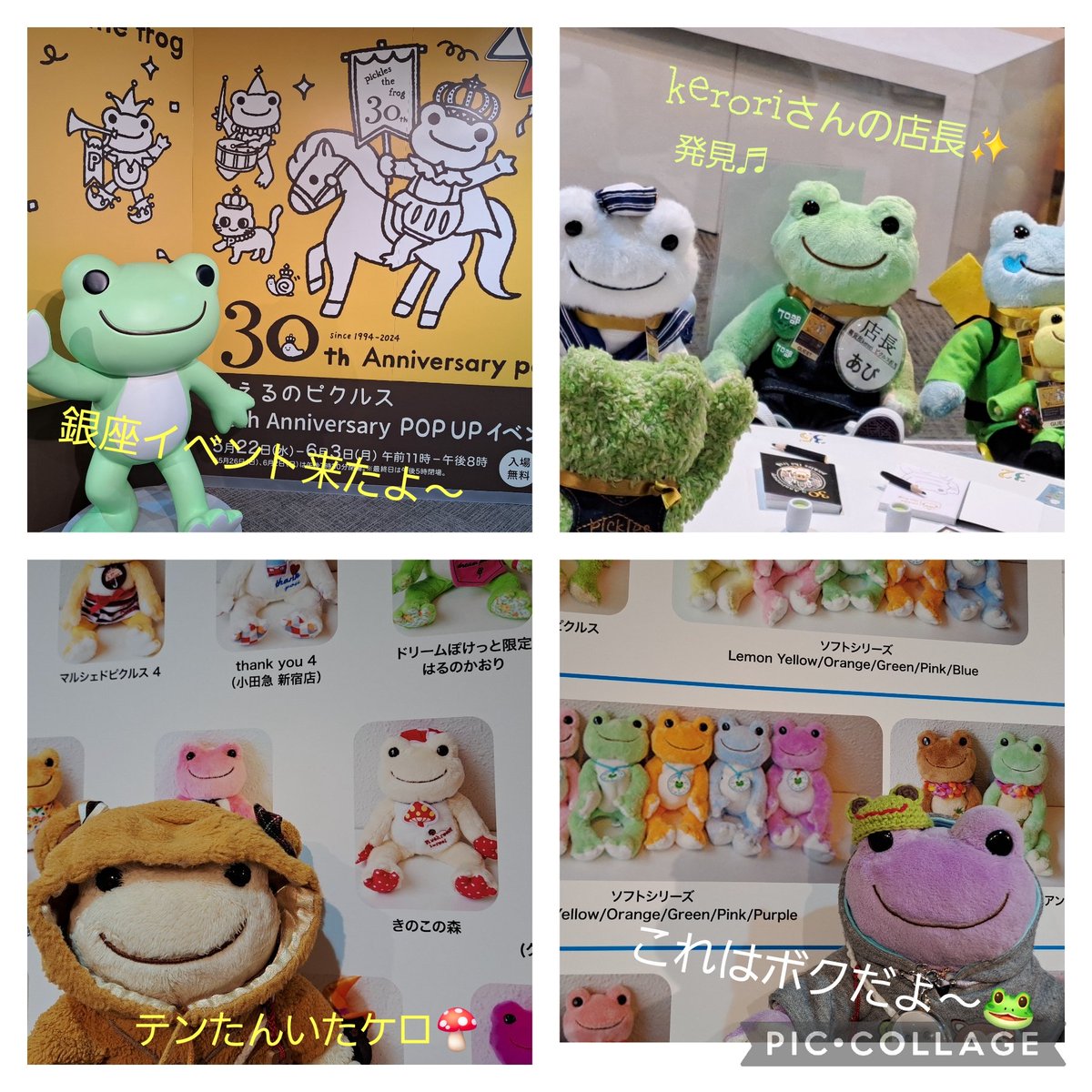 sheep426_happy's tweet photo. ★銀座イベント初日★

22日に行って来ました。
銀座も久しぶりだし、沢山の方に会えて嬉しかったです！

仲間はｲｲ( *ˊᗜˋ* )ﾈｯ ✧︎*。
かじゅとテンちゃんは年表見て
喜んでました𐤔

また、みんなに会えるのを
楽しみにしてます。

#かえるのピクルス #松屋銀座
#30周年Anniversary https://t.co/TgrKdFfnti