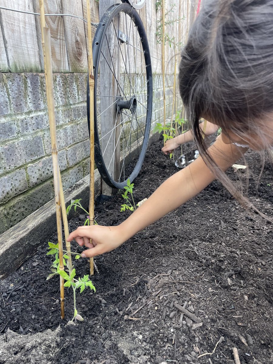 St Mary's School tweet media