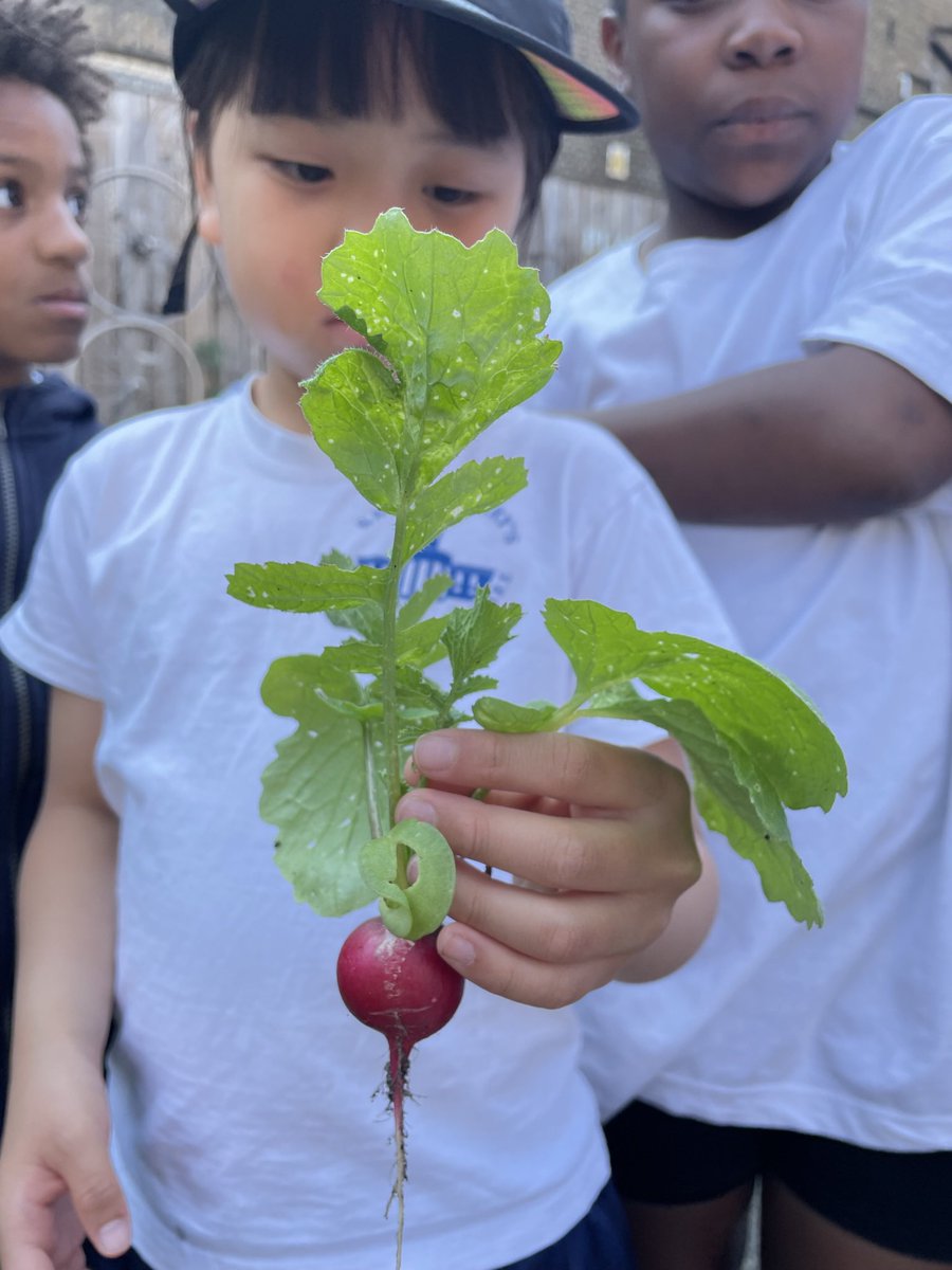 St Mary's School tweet media