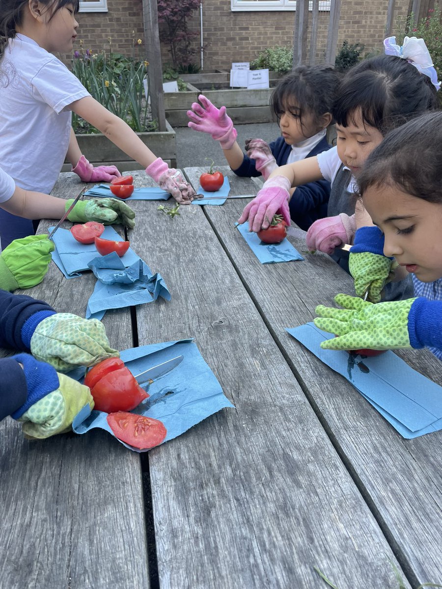 St Mary's School tweet media