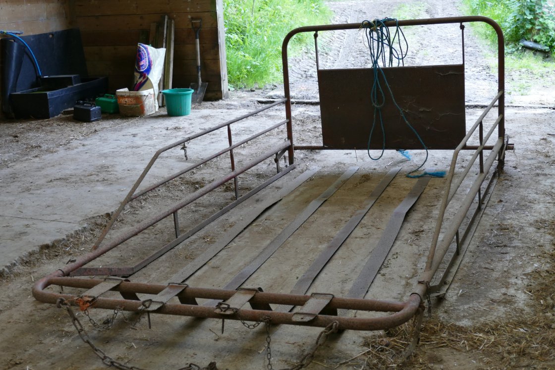 Debbie Kingsley tweet media