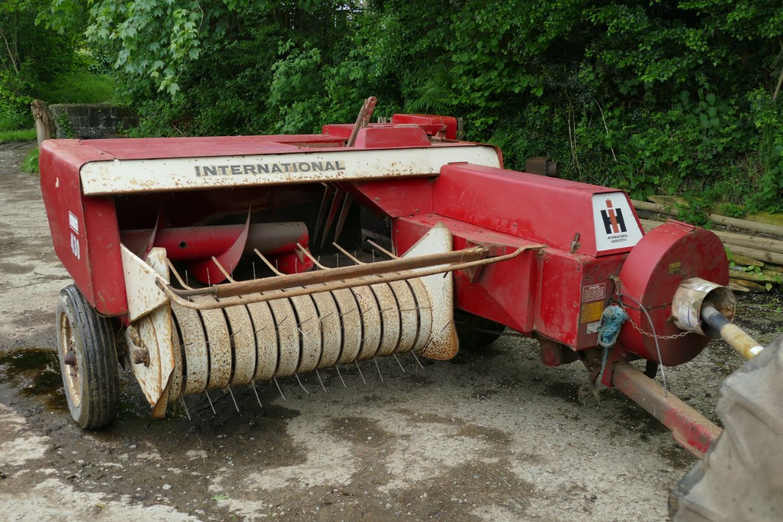 Debbie Kingsley tweet media