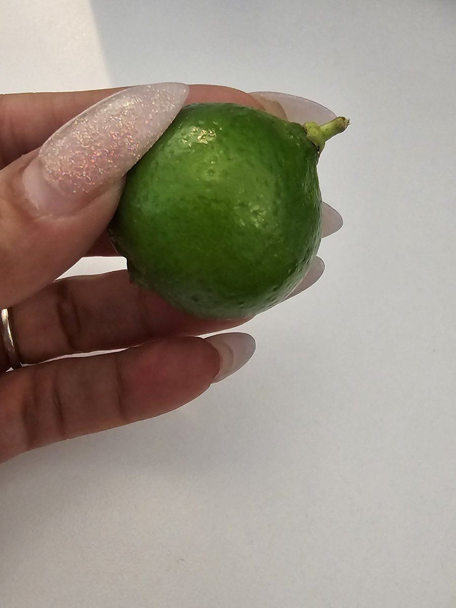 MsLA_323's tweet photo. @NGRLCST I had to grab some key limes 6 bucks in #Cali #keylimes https://t.co/XzsBa8zT7q