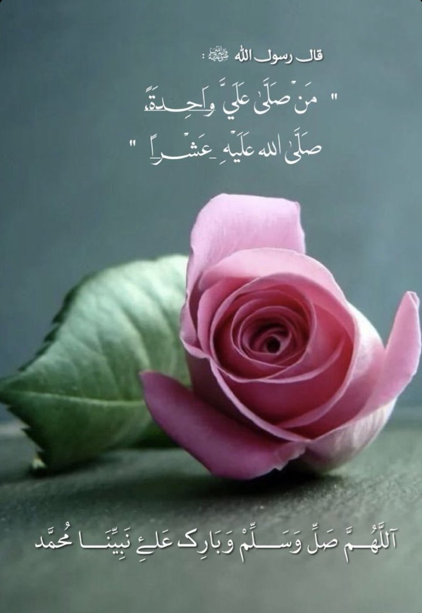 ♡الْرَّيْحَانَه♡ | «كُنْ فَيَكُونْ» tweet media